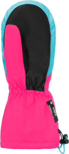 Reusch Maxi R-TEX® XT Mitten 6285515 3305 black pi