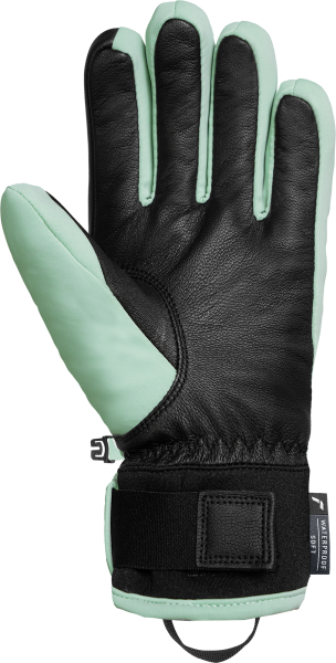 Reusch Mesa R-TEX® XT 6531293 5912 5912 back.png