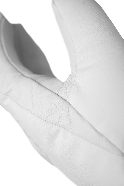6601826_1100_4.jpg