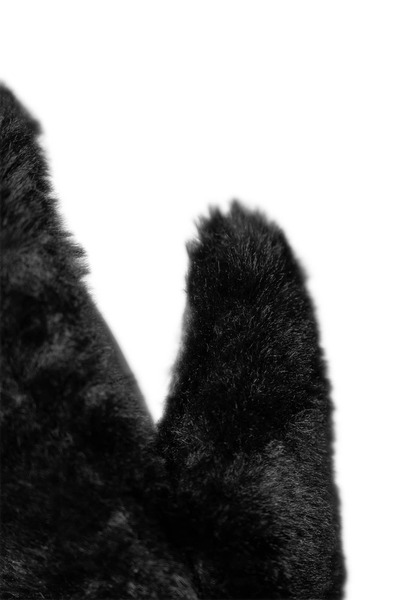 6661557_7700_4.jpg