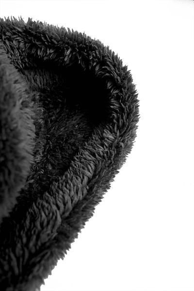 6689085_7700_4.jpg