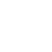 Pro Icon